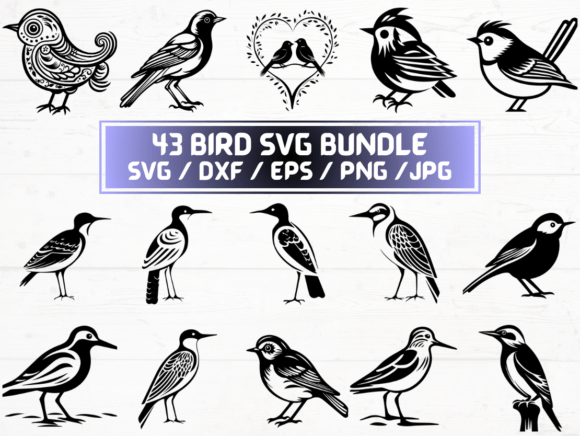 Bird SVG Graphics for Crafts & Digital Products