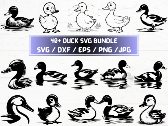 Duck SVG: Graphics for Crafts & Creative Branding