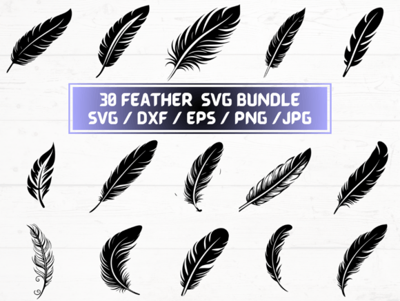 Feather SVG: Graphics for Crafts & Creative Publishing